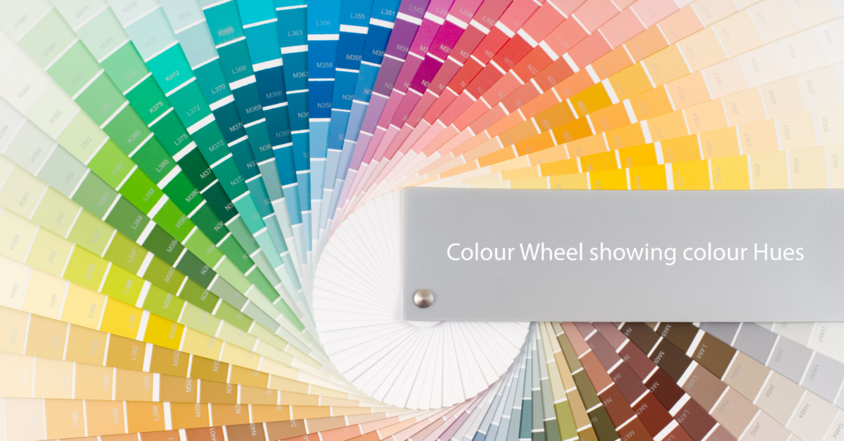 colour palette - the individual hues of colour within a colour chart